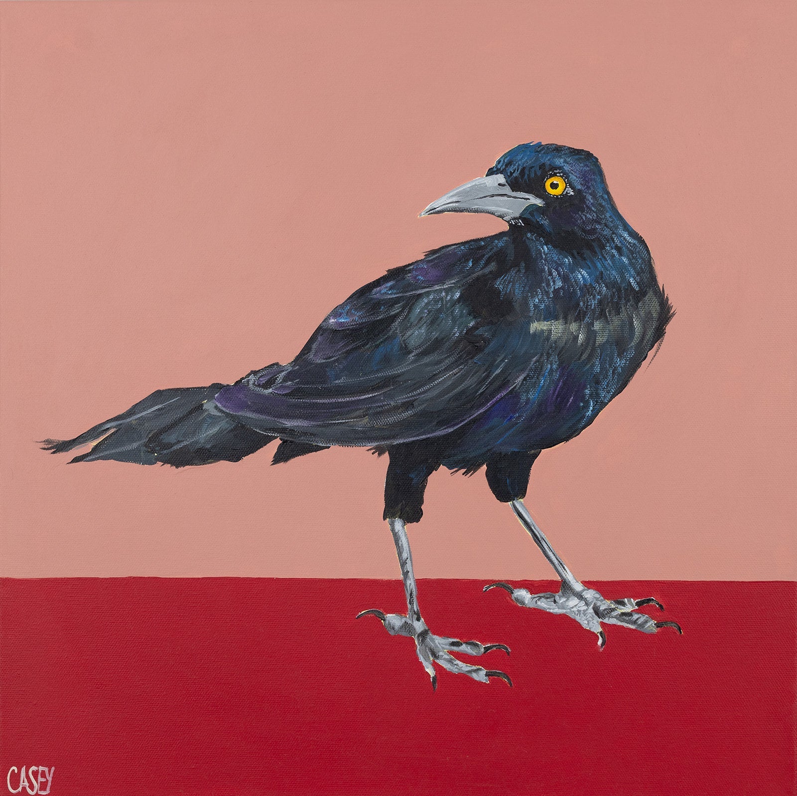 Casey Gallagher - Original Art + Prints
