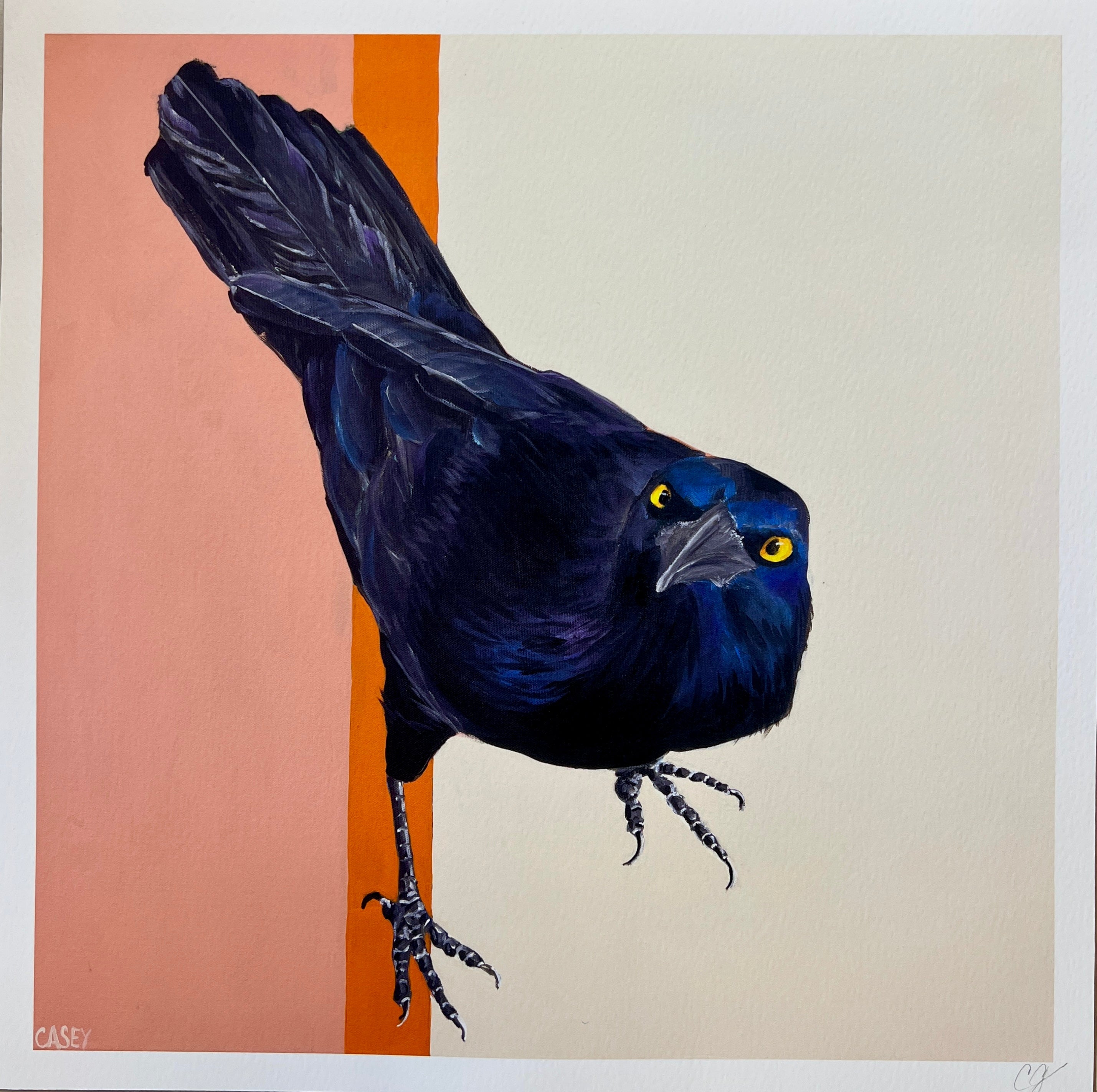 Casey Gallagher - Prints