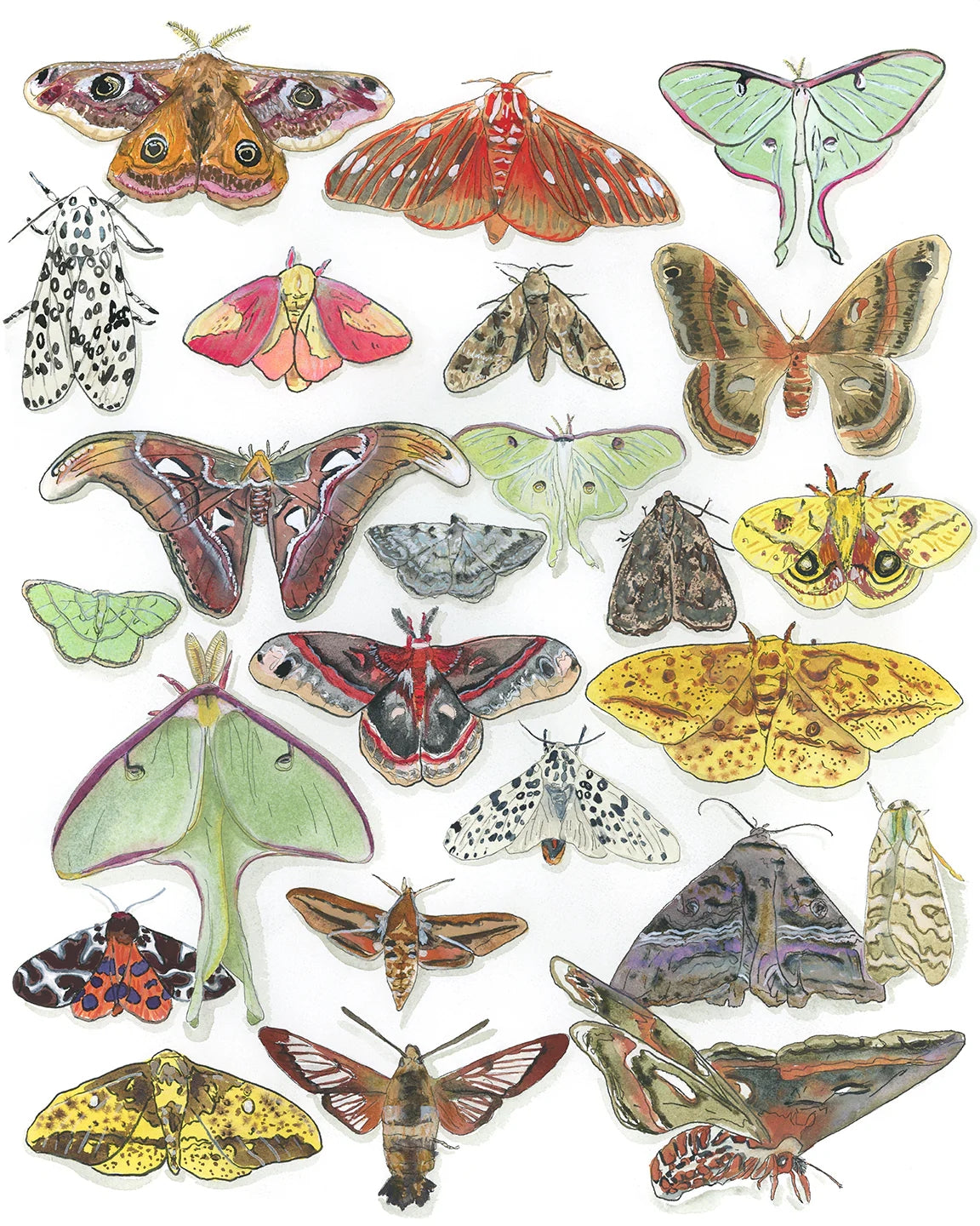 Katie Chance - Prints