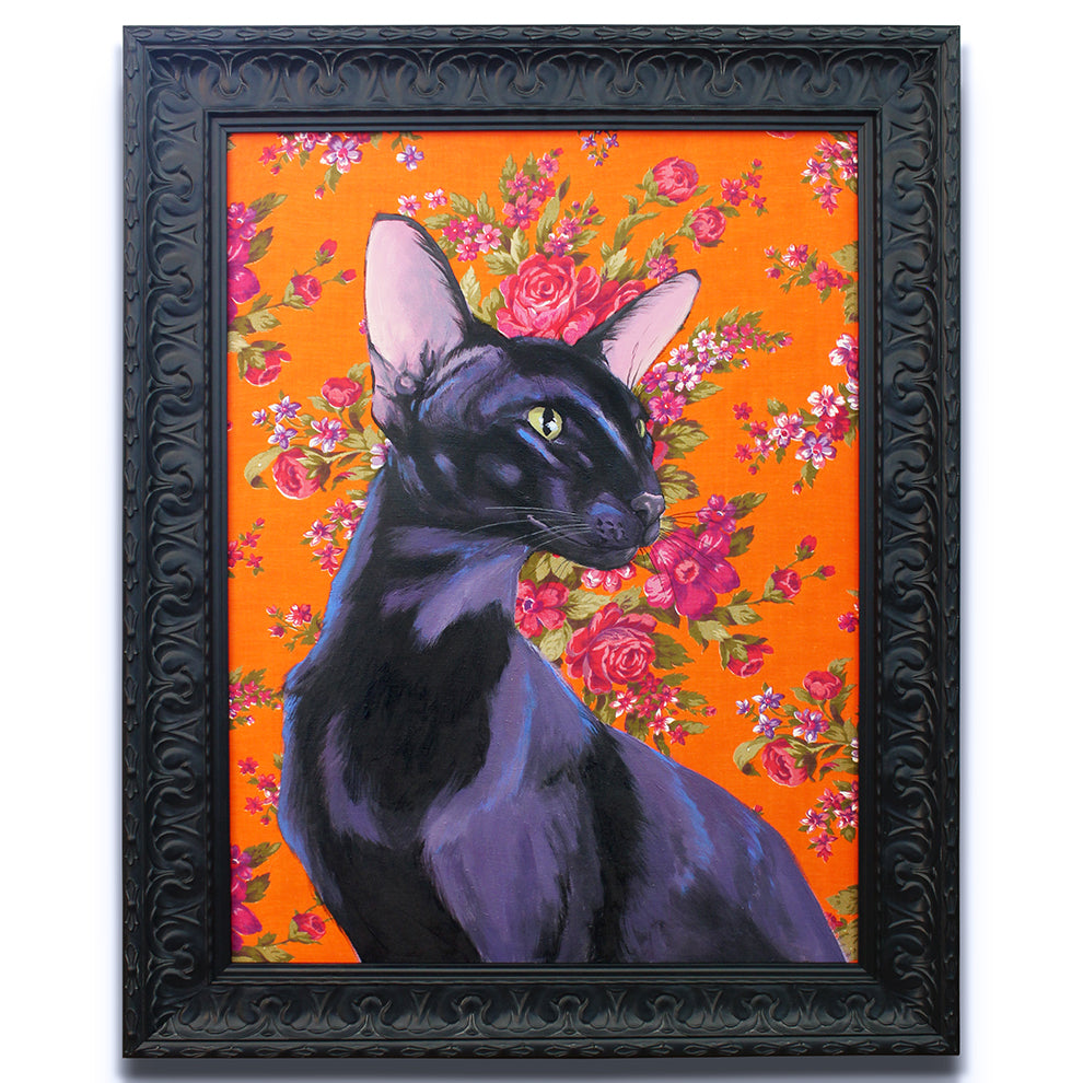 Oriental Shorthair Cat by Phillip Seymour