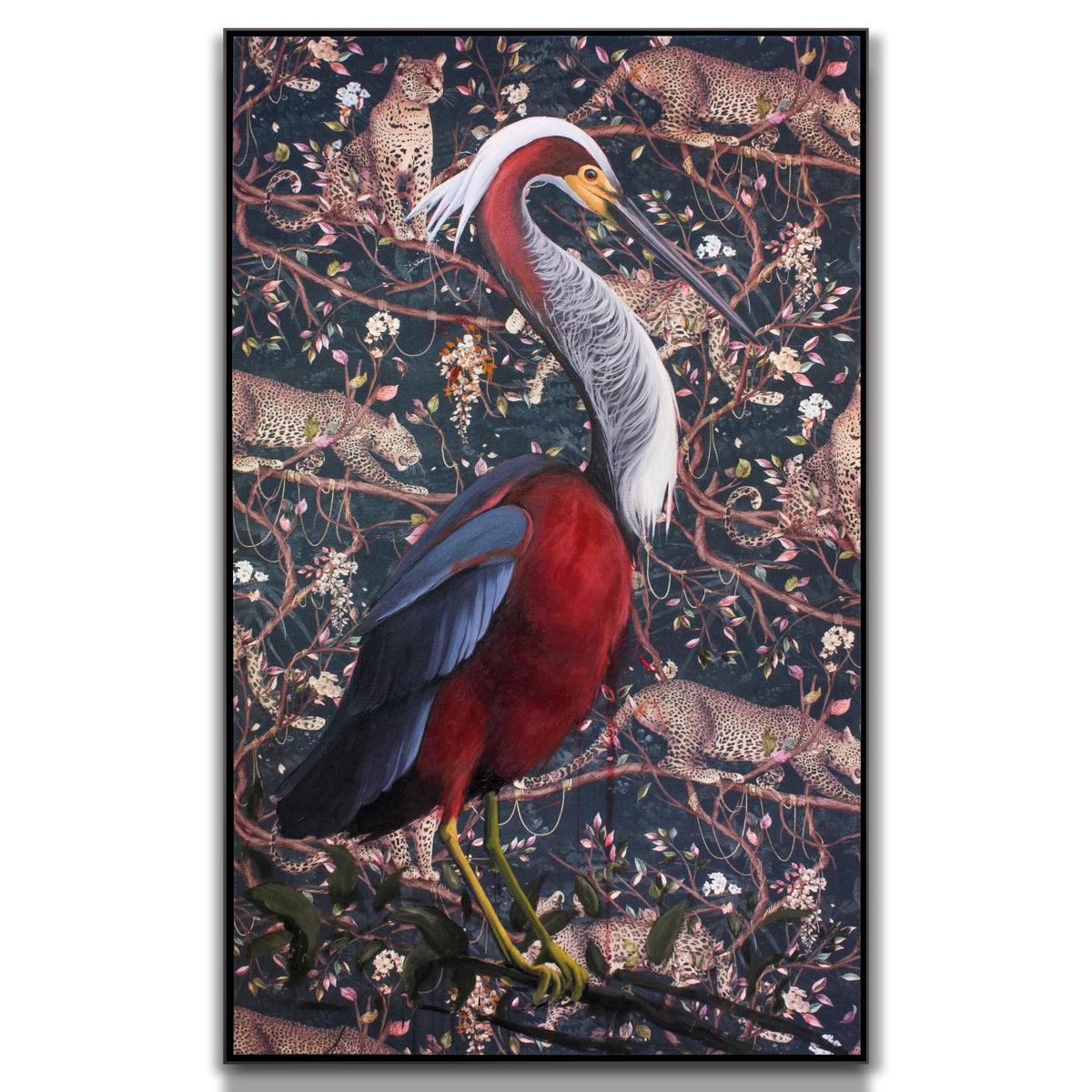 Agami Heron by Phillip Seymour