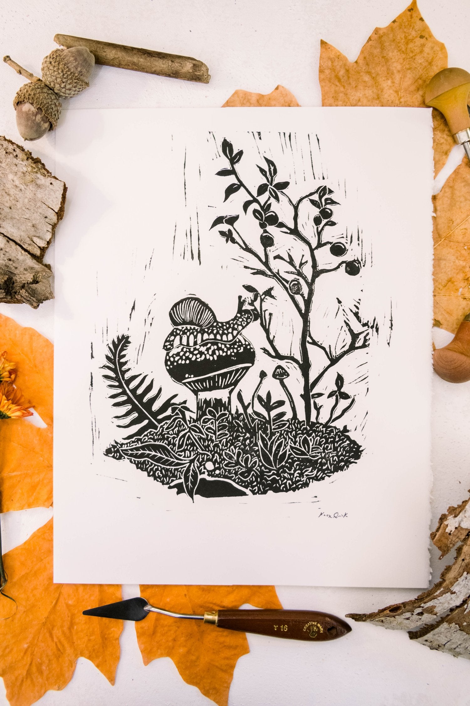 Alex-Quirk-Blueberries-snail-