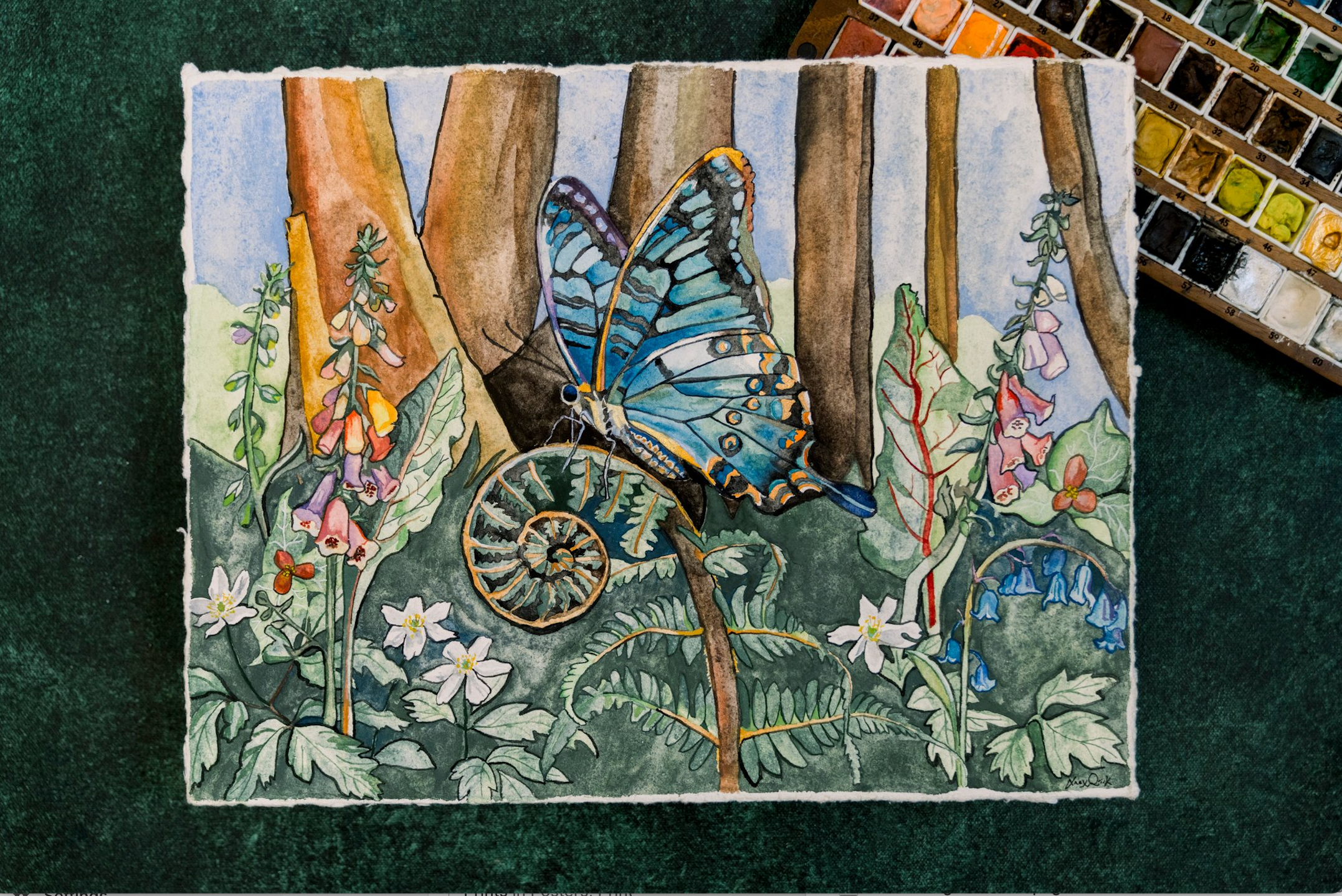 Karner Blue Print by Alex Quirk - Limited Print