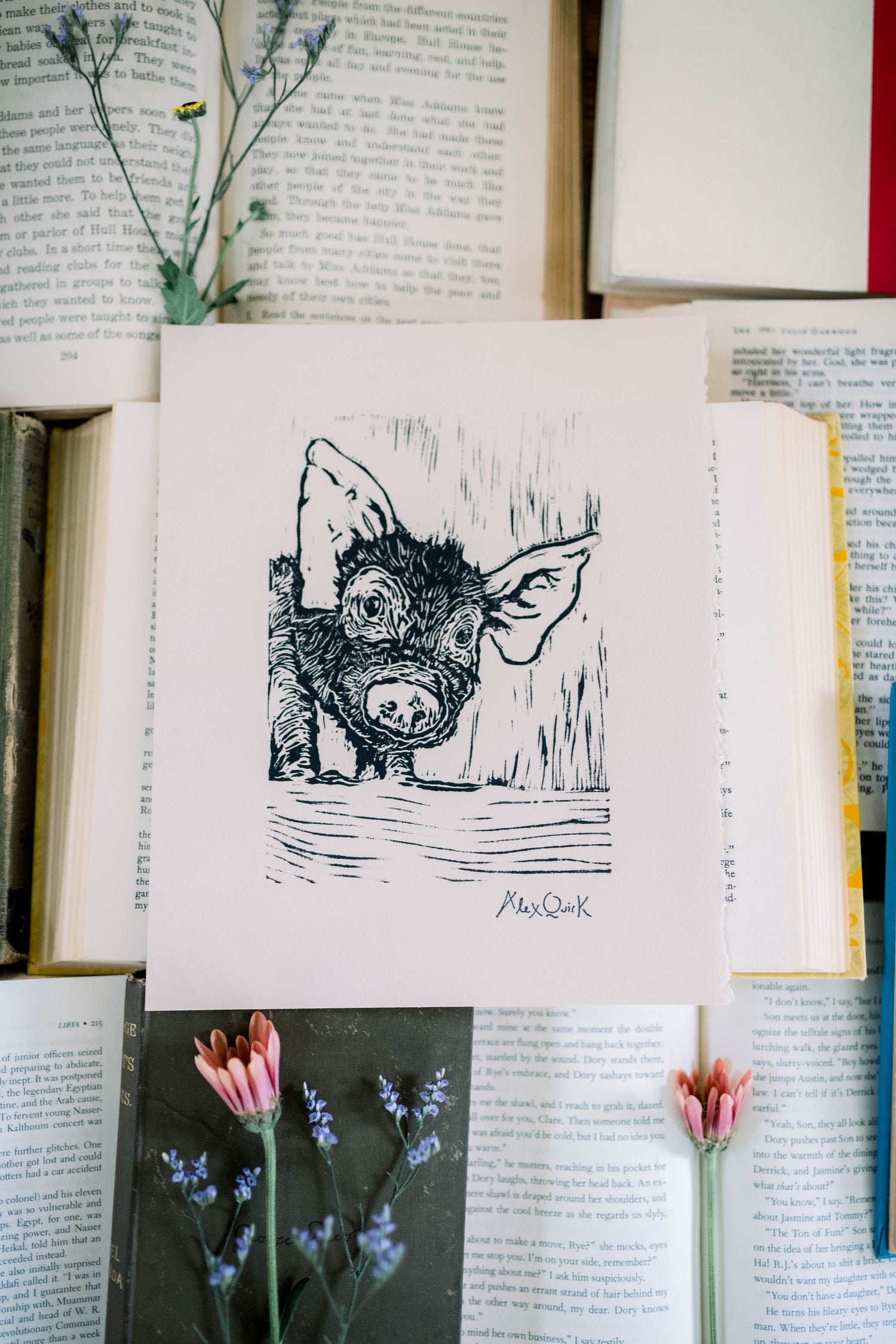 Barley the Pig Print by Alex Quirk – Art For The People Gallery