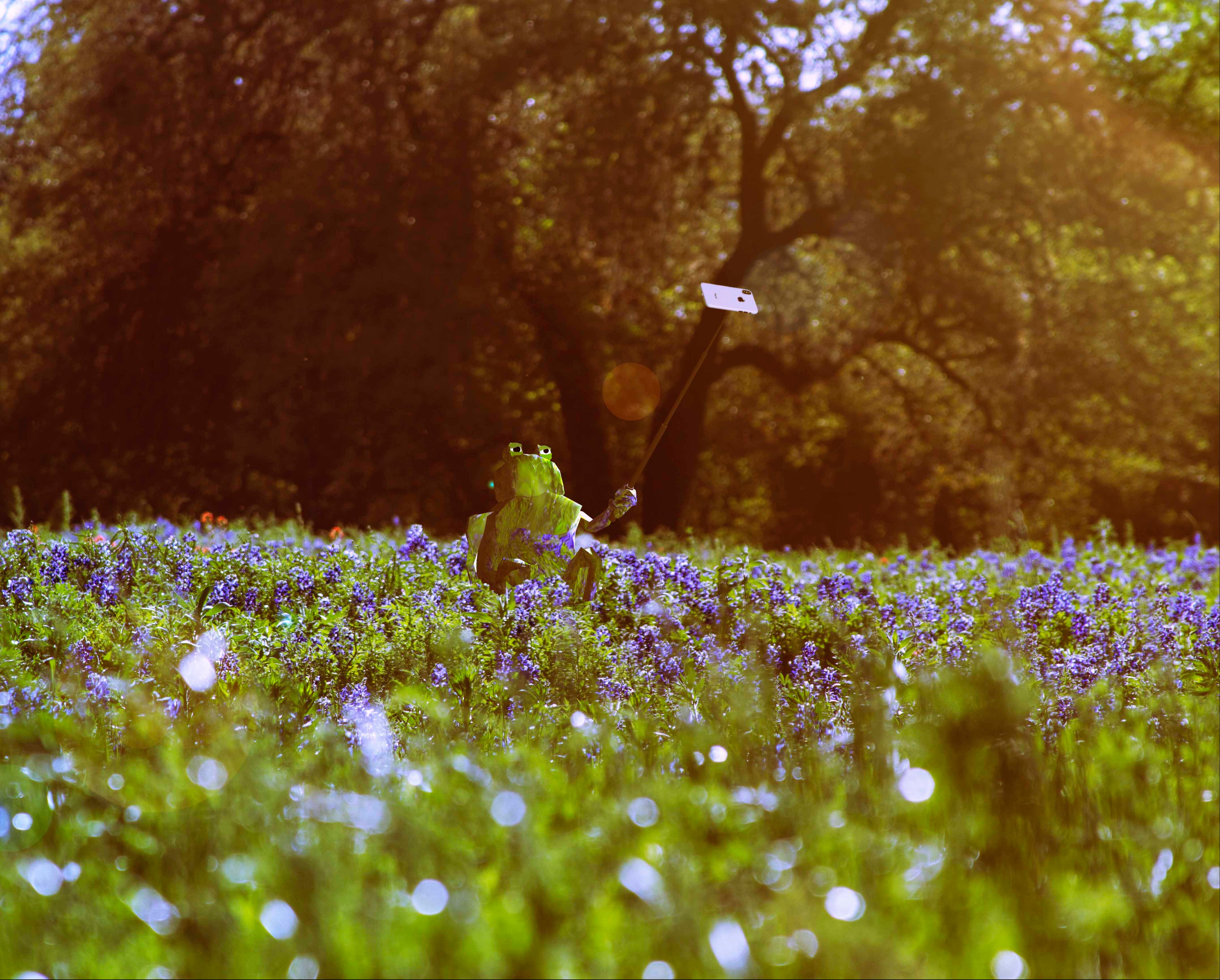 Pudgy the Alien Bluebonnets Print by John Donofrio