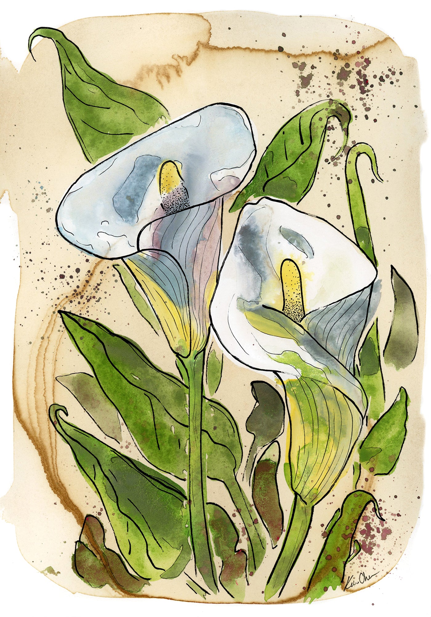 Calla Lilly 2 On Coffee Stained Paper Print by Katie Chance