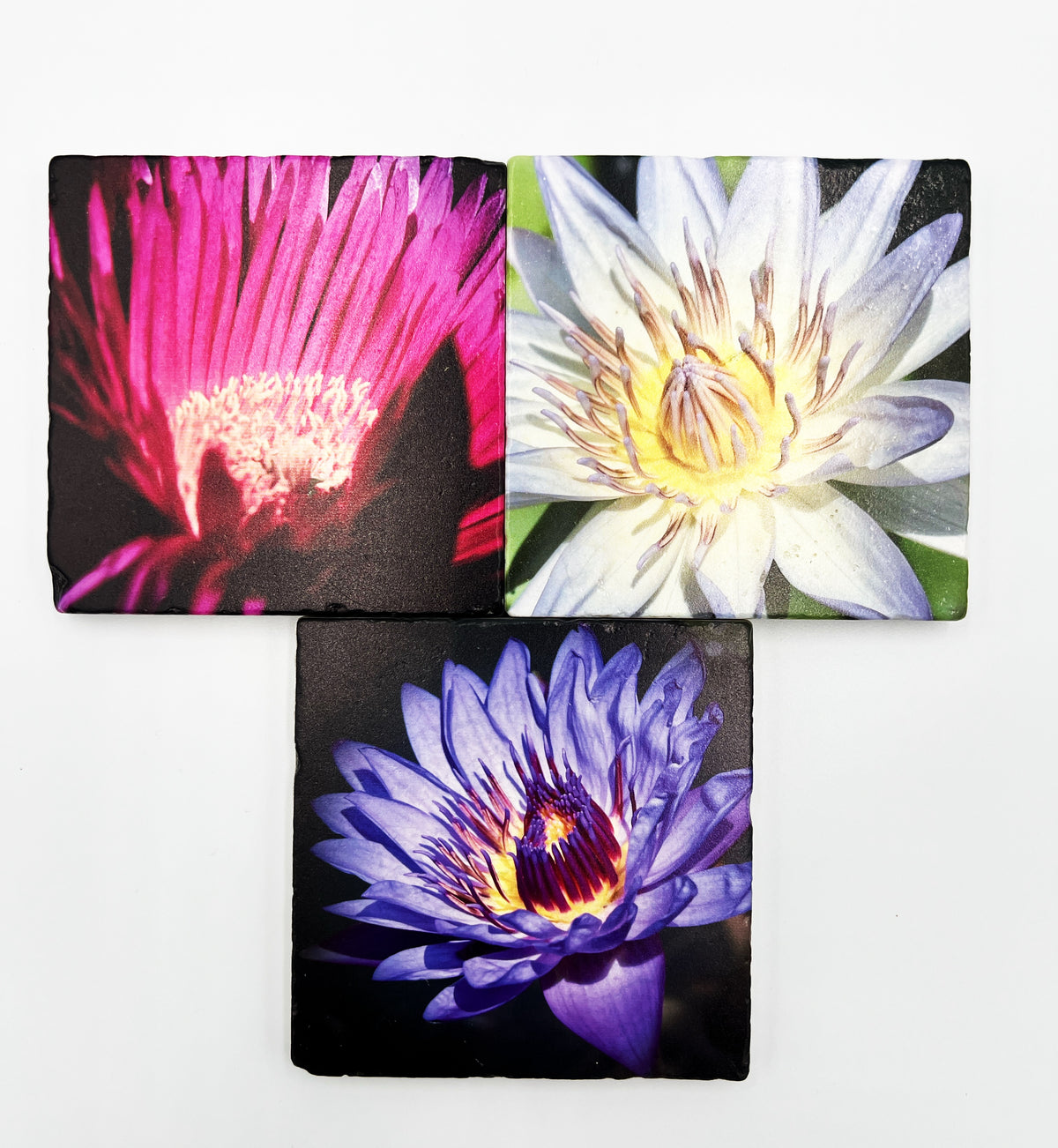 Printed Tile Coasters by Calloway Studios