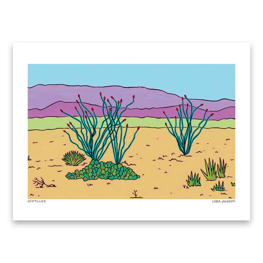 Ocotillos Print by Cara Jackson + 12"x16"