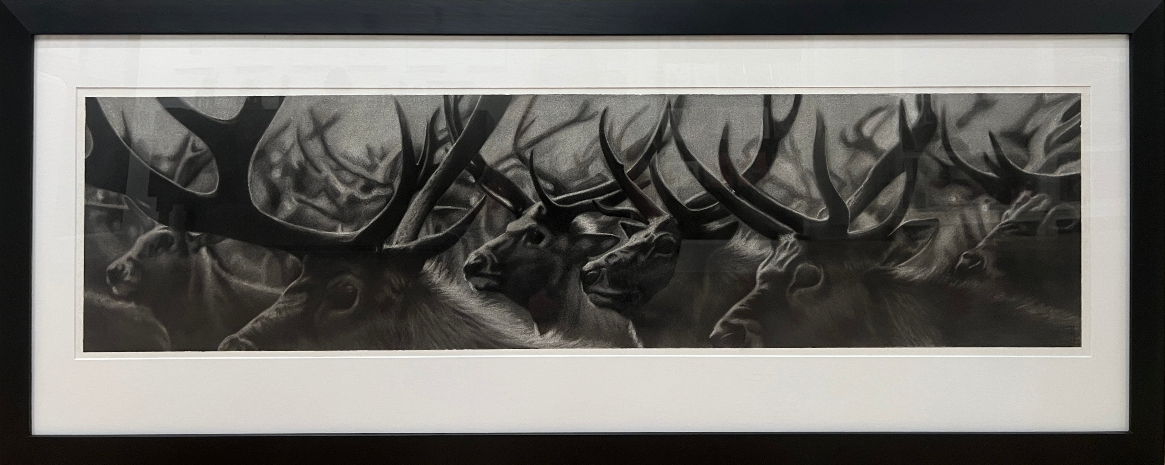 The Herd by Carla Tilotta