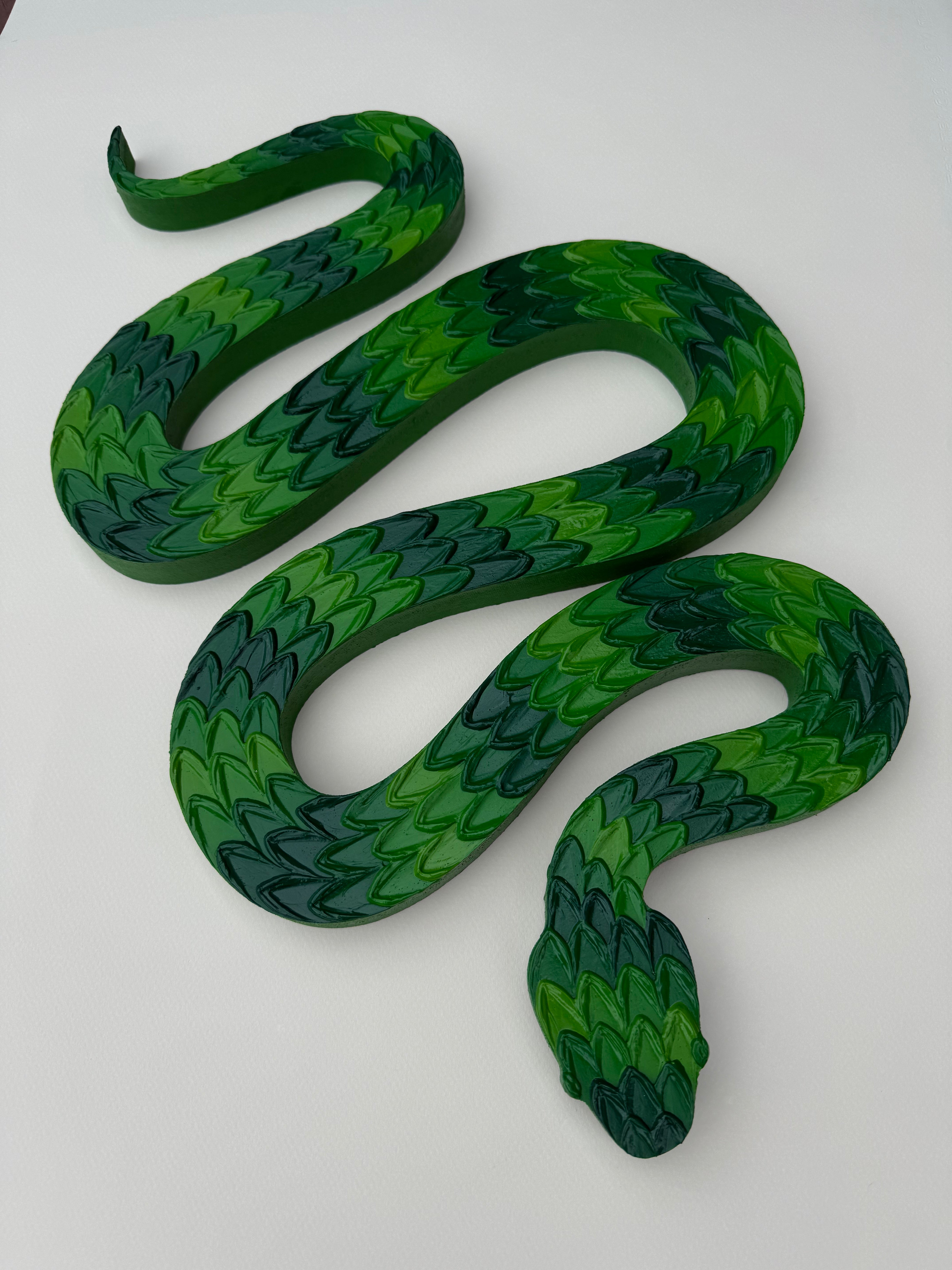 Green Snake by Clarissa Sylva