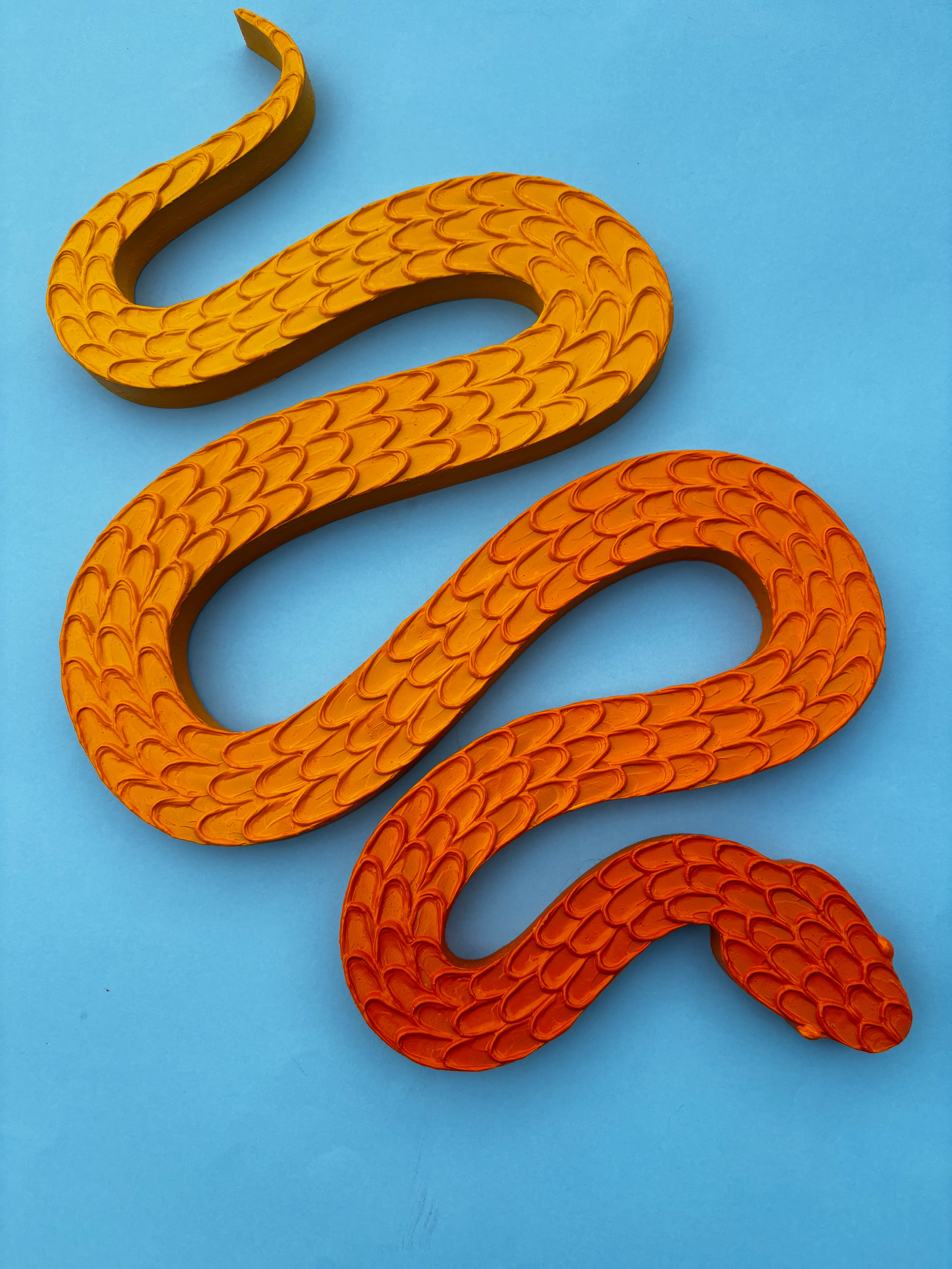 Snake #78 by Clarissa Sylva