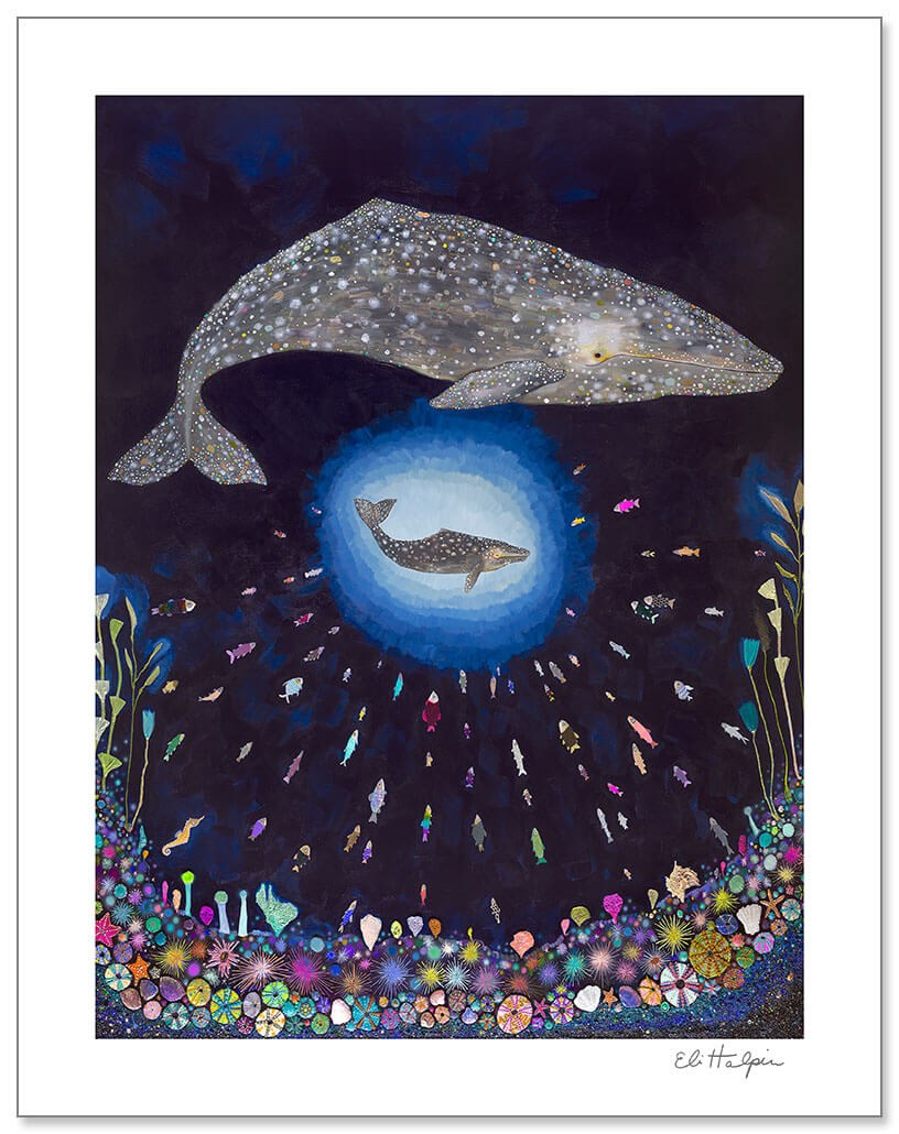 Gray Whale Calf Print by Eli Halpin + Paper
