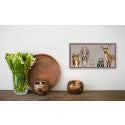 Forest Animals Mini Framed Canvas Print by Eli Halpin