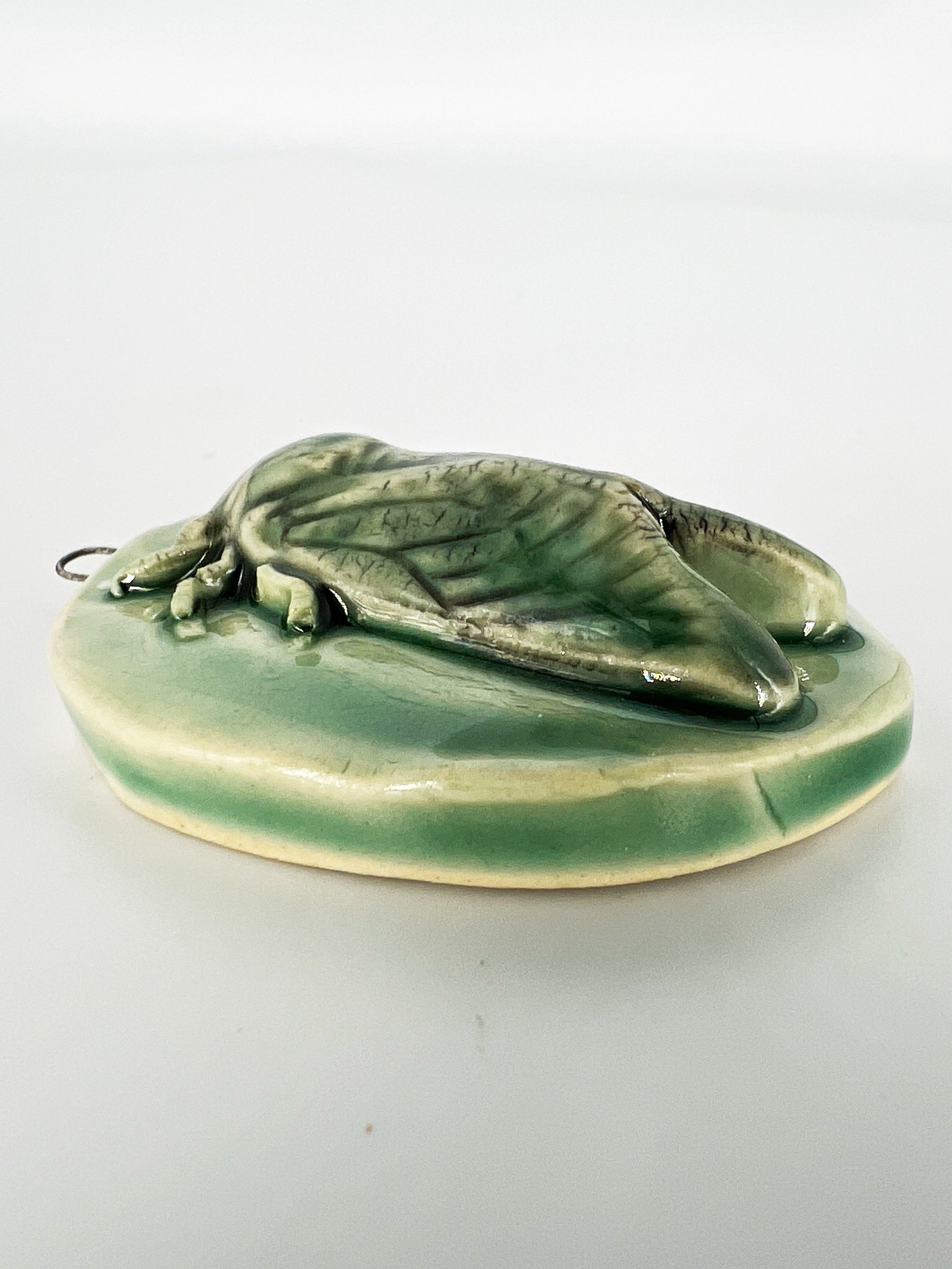 Small Cicada Wall Hanging by Hooting Buddha