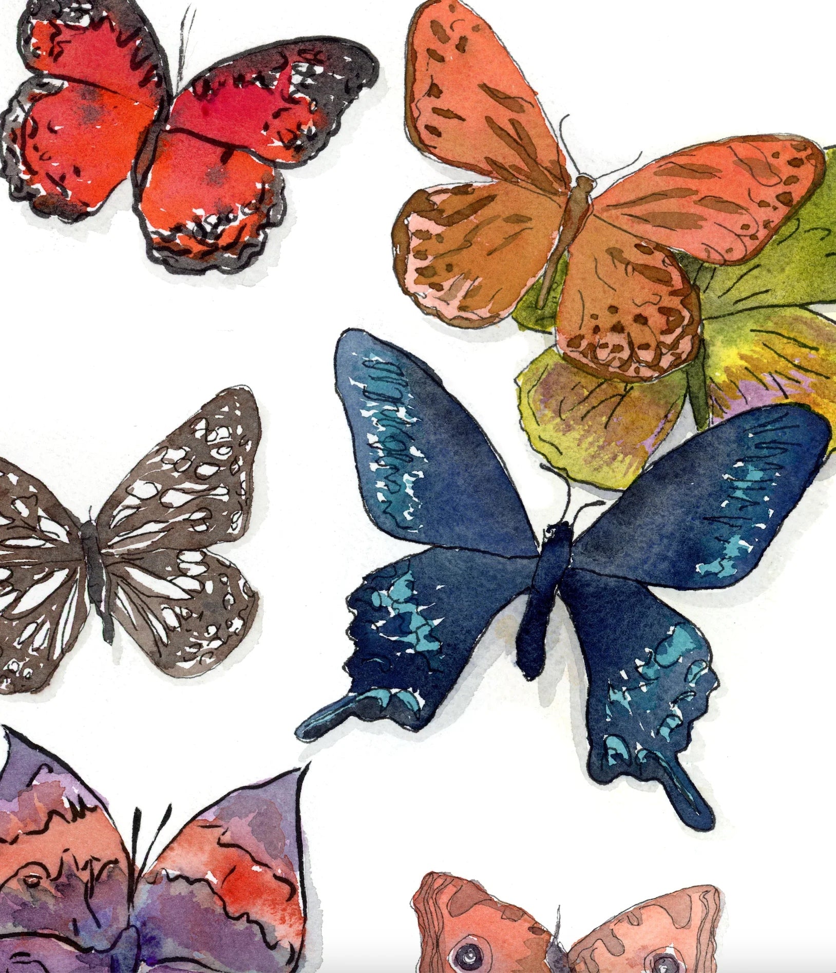 Butterfly Print by Katie Chance