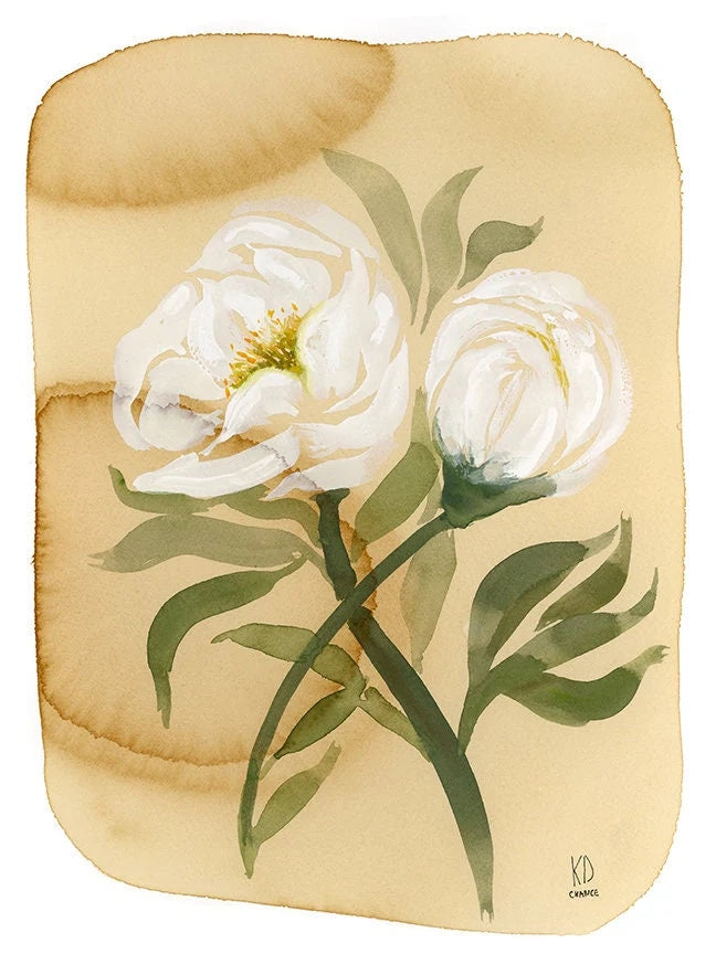 White Peony On Coffee Stained Paper Print by Katie Chance