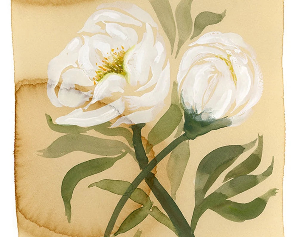 White Peony On Coffee Stained Paper Print by Katie Chance