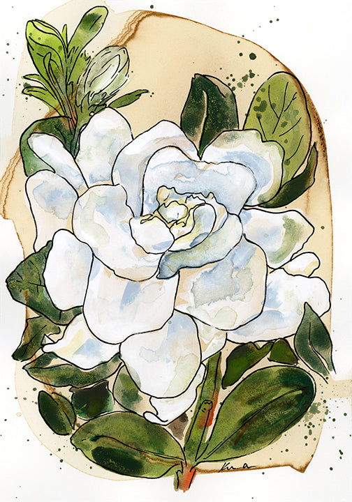 Gardenia 2 On Coffee Stained Paper Print by Katie Chance