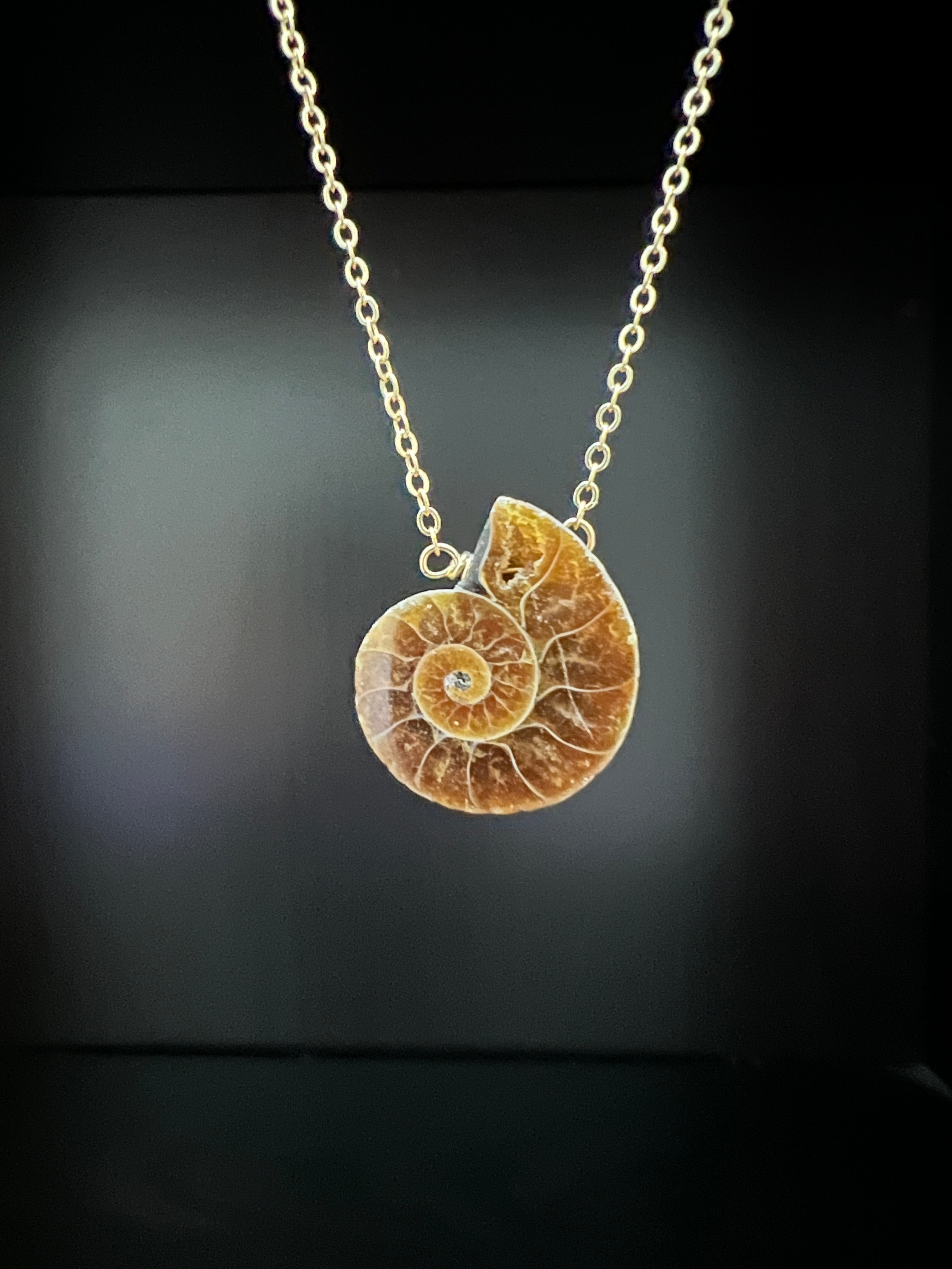 Small Ammonite Necklace by Pake