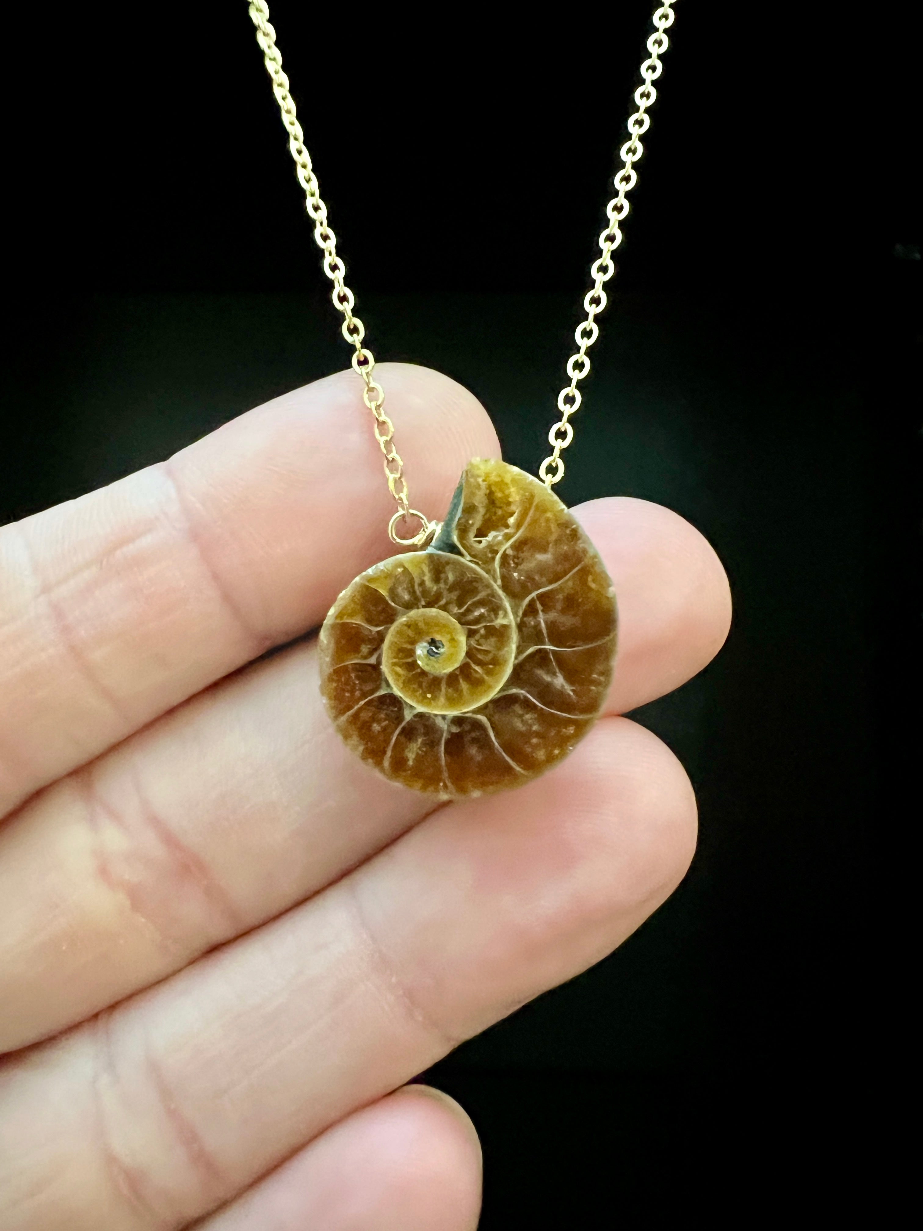 Small Ammonite Necklace by Pake