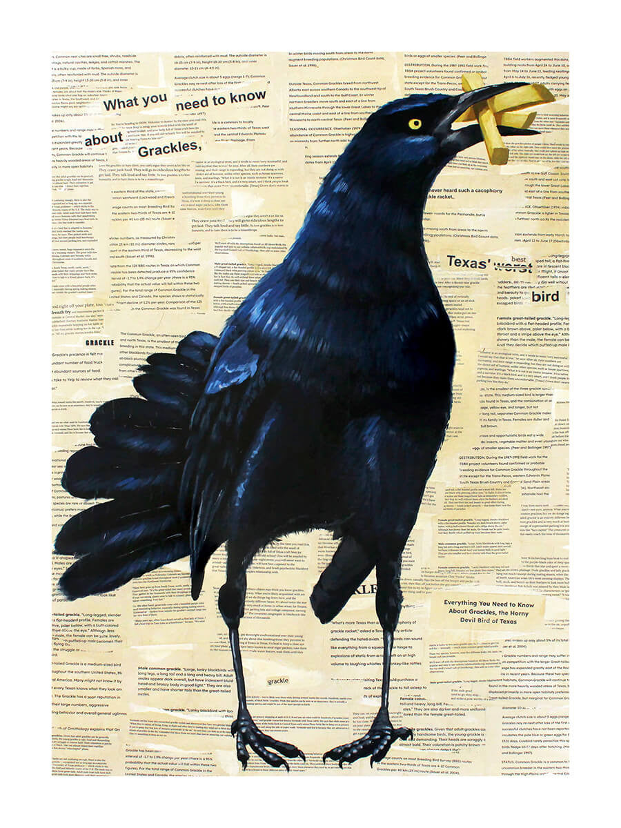 What You Need To Know About Grackles Print by Phillip Seymour + 9"x12"