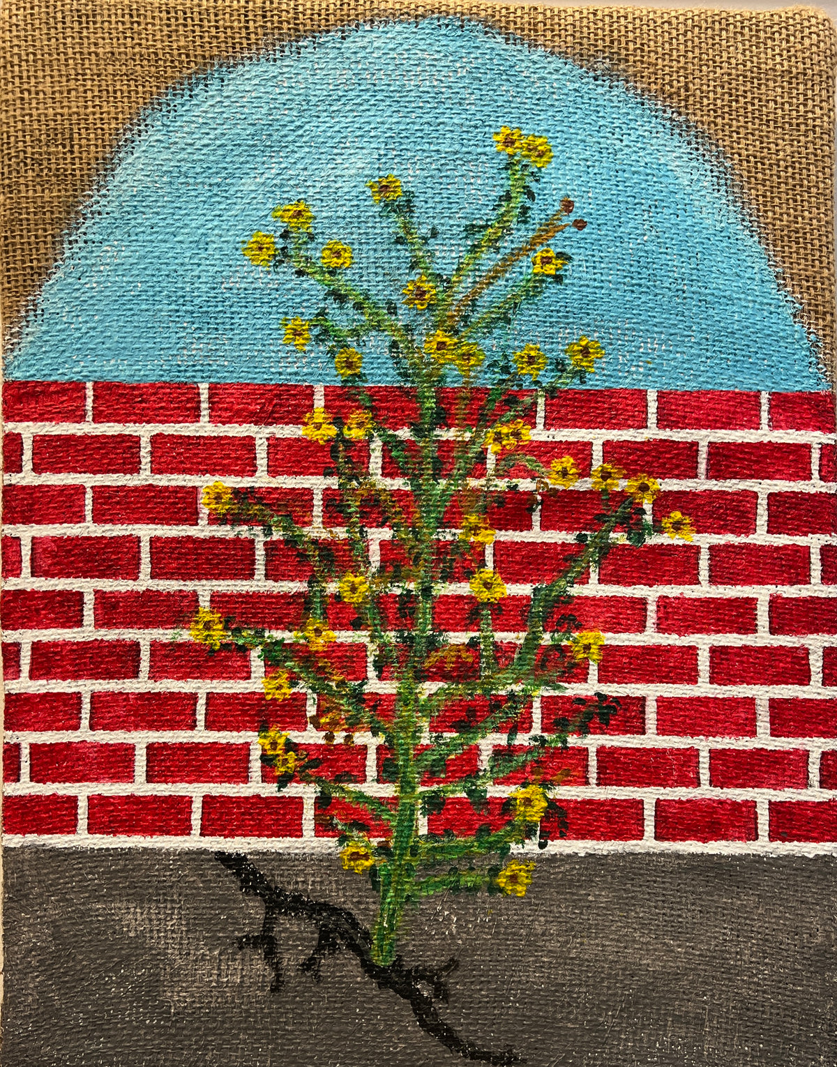 Bloom Where Your Are Planted by Ricardo Zamora