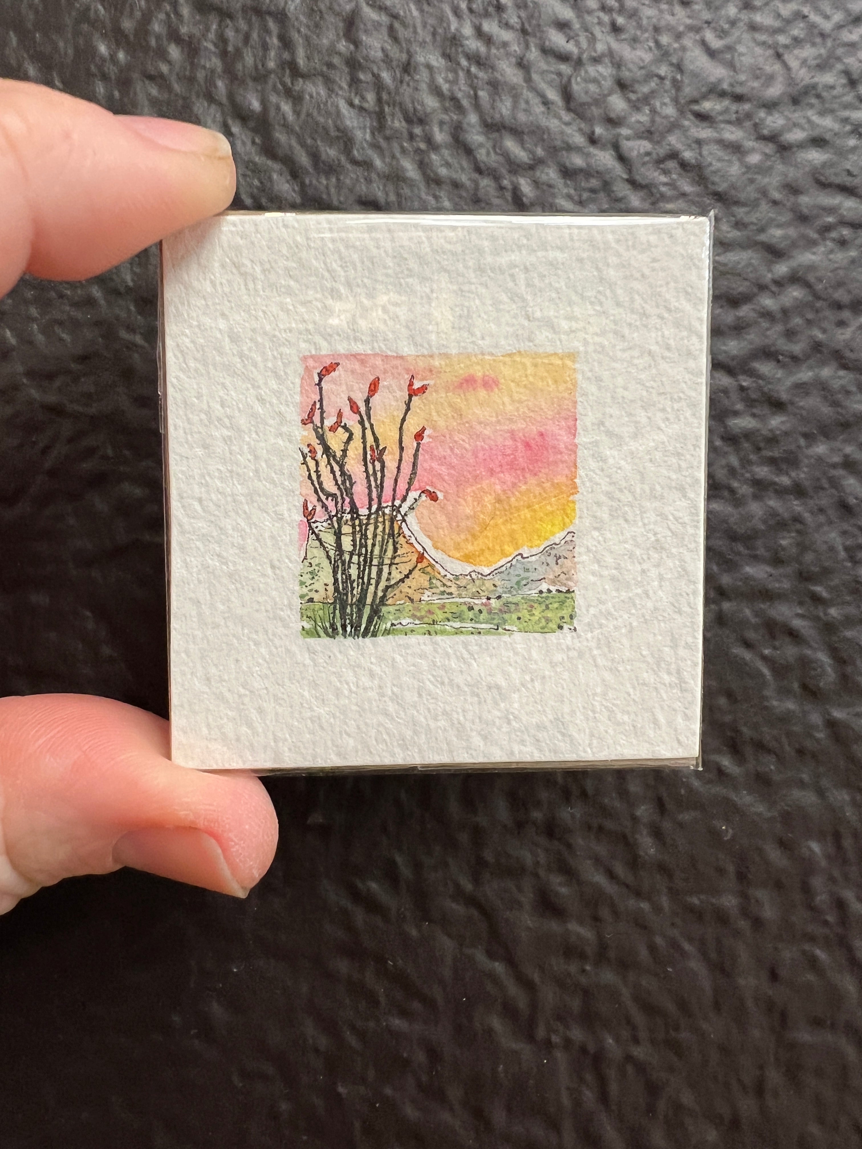 Teeny Tiny Ocotillo Original by Sally Van Horn