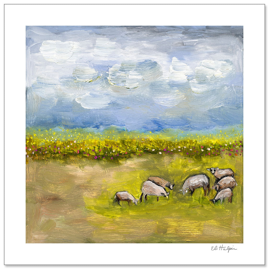 Sheep Pasture by Eli Halpin + 12"x12" Paper