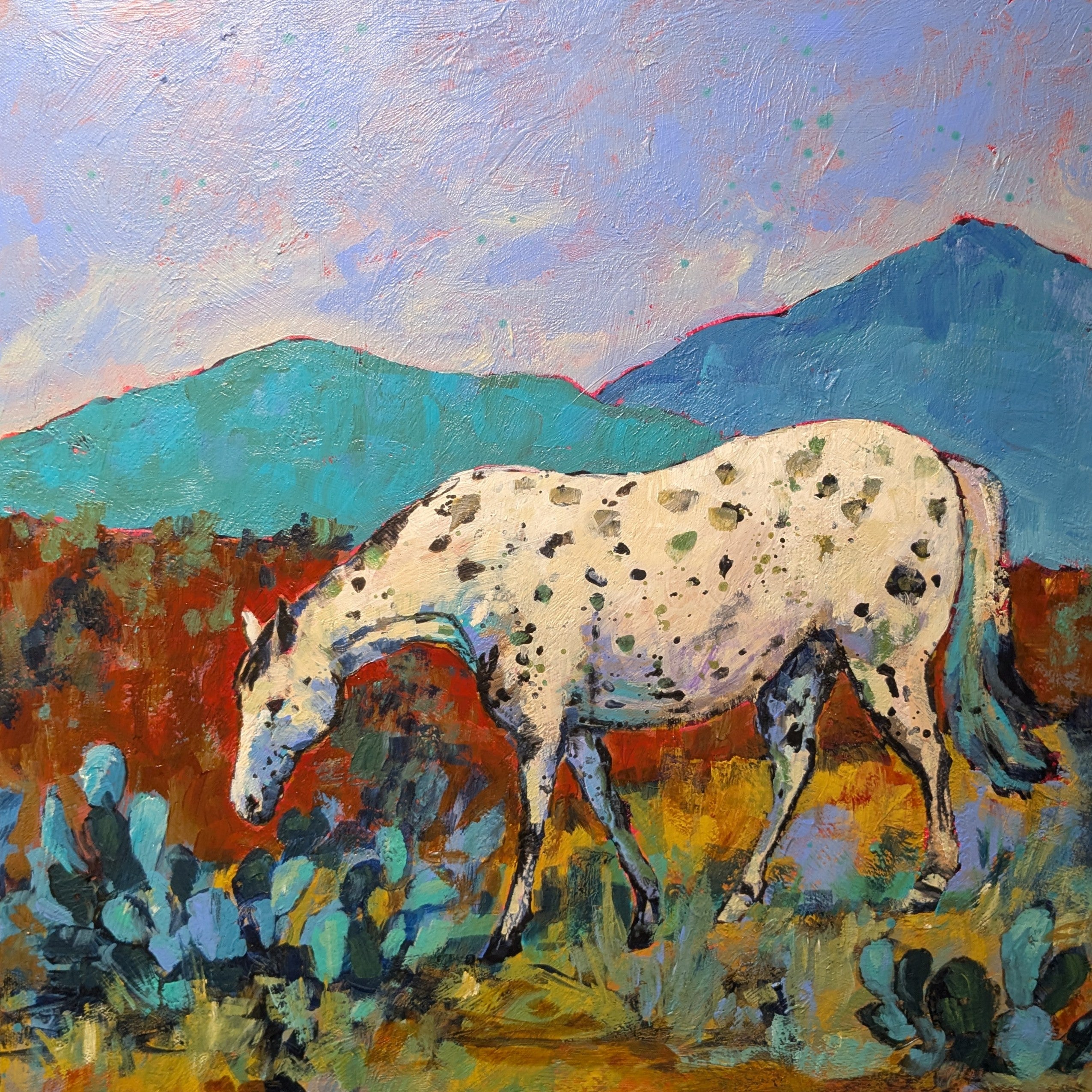 Spotted by Sheila Scott