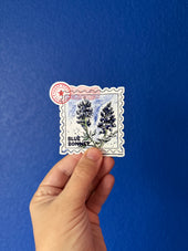 Bluebonnet Wildflower Sticker by Emily Tolipova of Where'd The Wild Things Go