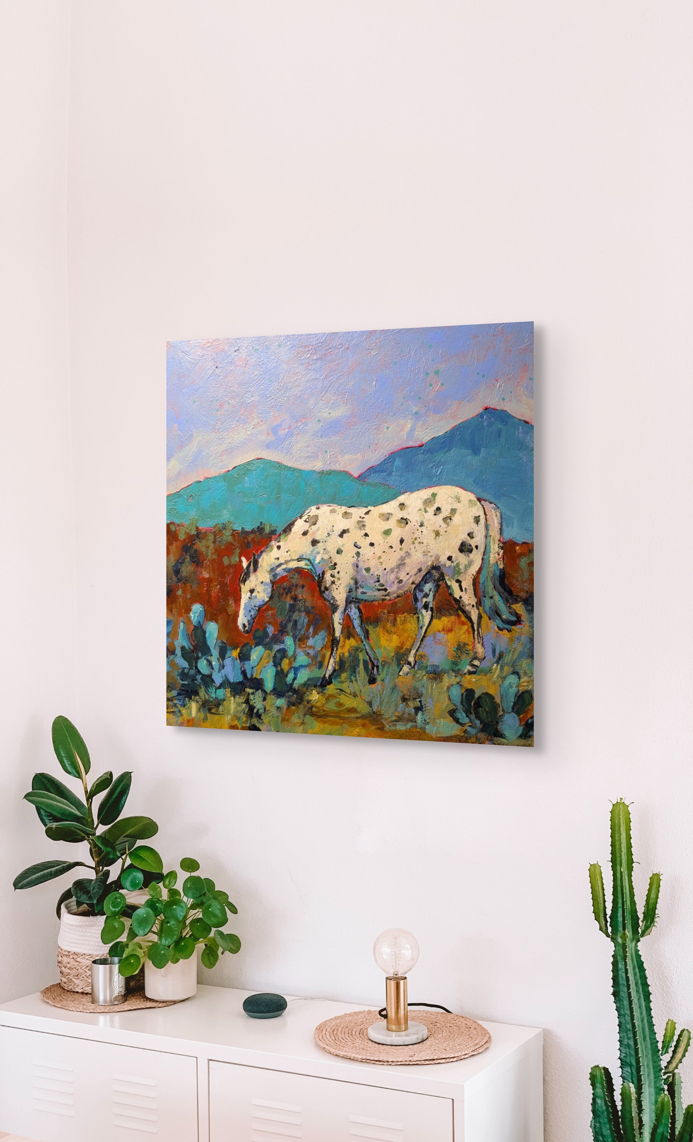 Spotted by Sheila Scott